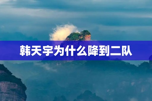 韩天宇为什么降到二队 韩天宇为什么降到二队
