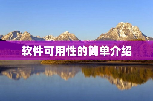 软件可用性的简单介绍 软件可用性的简单介绍