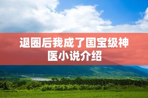 退圈后我成了国宝级神医小说介绍