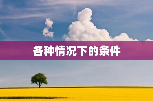 各种情况下的条件:从不同角度解读 各种情况下的条件:从不同角度解读