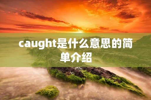 caught是什么意思的简单介绍