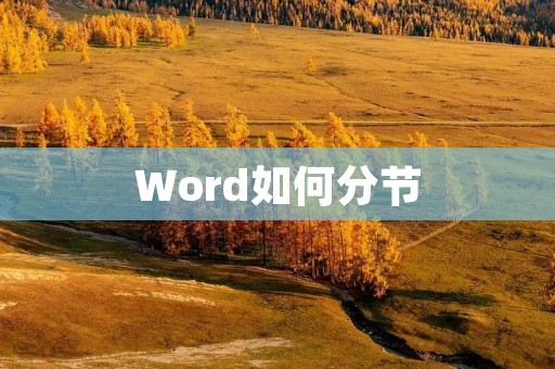Word如何分节