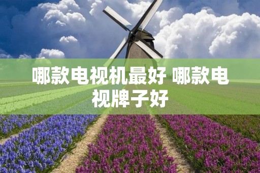 哪款电视机最好 哪款电视牌子好
