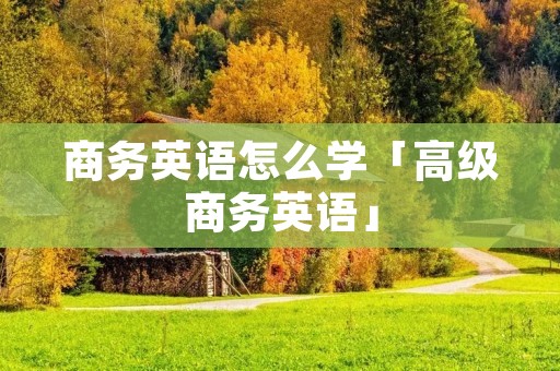 商务英语怎么学「高级商务英语」