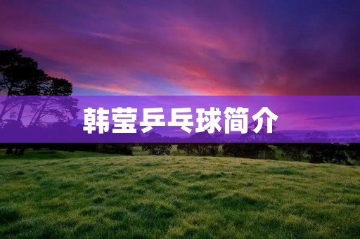 韩莹乒乓球简介：运动天才的传奇之路