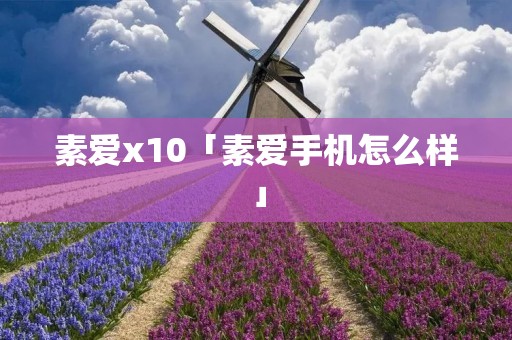 素爱x10「素爱手机怎么样」