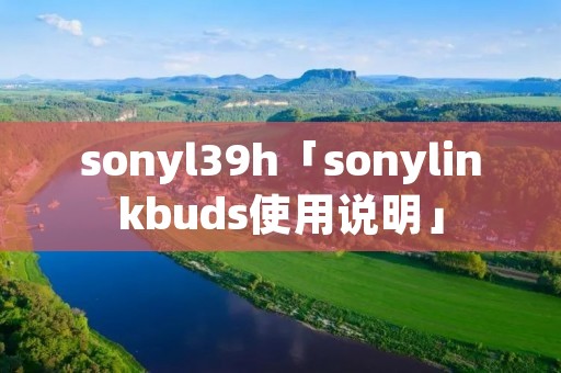 sonyl39h「sonylinkbuds使用说明」