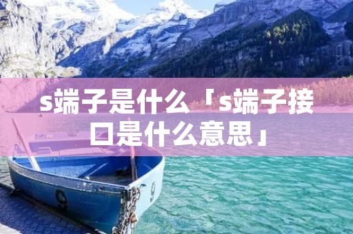 s端子是什么「s端子接口是什么意思」 s端子是什么「s端子接口是什么意思」