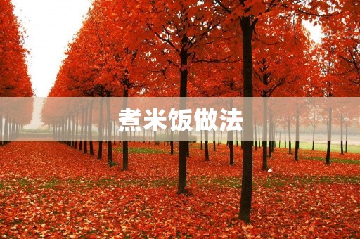 煮米饭做法:如何煮出香喷喷的米饭 煮米饭做法:如何煮出香喷喷的米饭