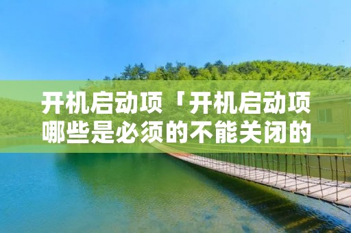 开机启动项「开机启动项哪些是必须的不能关闭的」 开机启动项「开机启动项哪些是必须的不能关闭的」