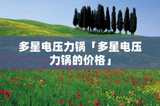 多星电压力锅「多星电压力锅的价格」