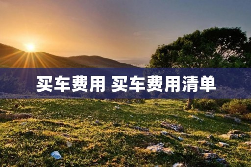 买车费用 买车费用清单