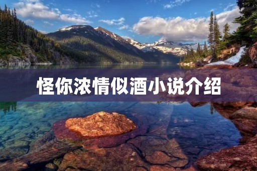 怪你浓情似酒小说介绍