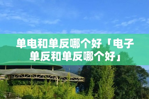 单电和单反哪个好「电子单反和单反哪个好」