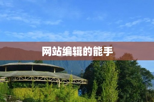 网站编辑的能手：深入解读adept技能