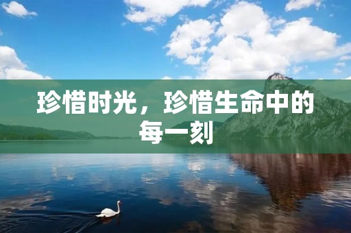 珍惜时光，珍惜生命中的每一刻