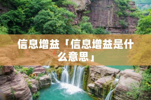 信息增益「信息增益是什么意思」
