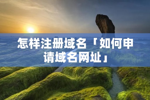 怎样注册域名「如何申请域名网址」 怎样注册域名「如何申请域名网址」