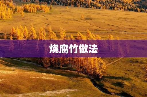 烧腐竹做法:美味佳肴的制作指南 烧腐竹做法:美味佳肴的制作指南