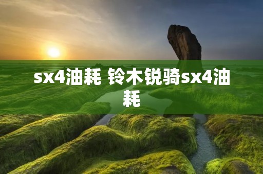 sx4油耗 铃木锐骑sx4油耗