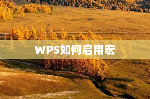 WPS如何启用宏