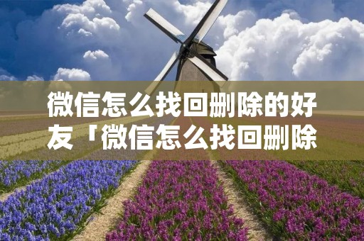 微信怎么找回删除的好友「微信怎么找回删除的好友申请记录」