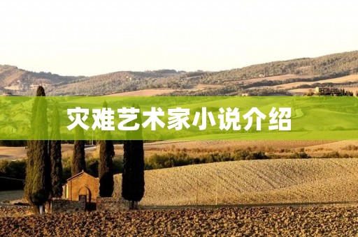 灾难艺术家小说介绍