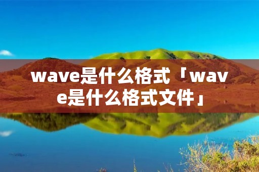 wave是什么格式「wave是什么格式文件」