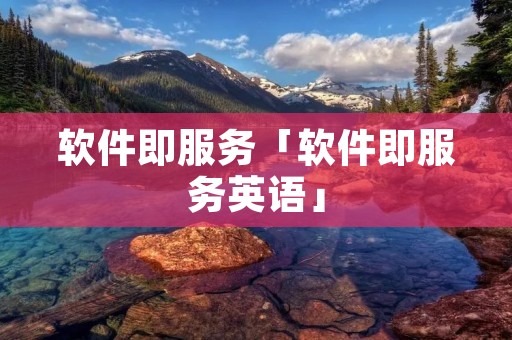 软件即服务「软件即服务英语」