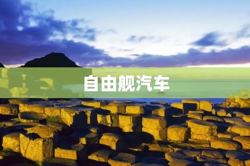 自由舰汽车：驾驶自由的未来之船