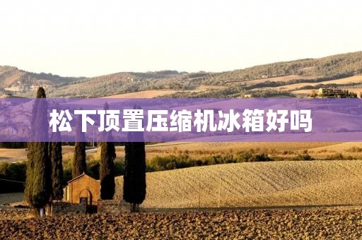 松下顶置压缩机冰箱好吗