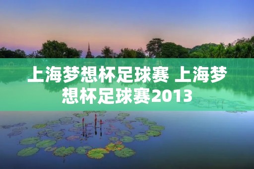 上海梦想杯足球赛 上海梦想杯足球赛2013