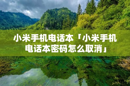小米手机**本「小米手机**本密码怎么取消」