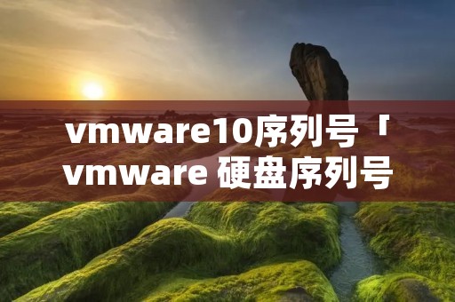 vmware10序列号「vmware 硬盘序列号」