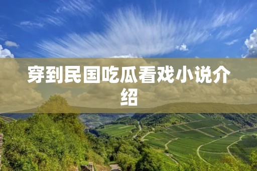 穿到民国吃瓜看戏小说介绍