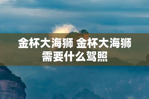 金杯大海狮 金杯大海狮需要什么驾照 金杯大海狮 金杯大海狮需要什么驾照