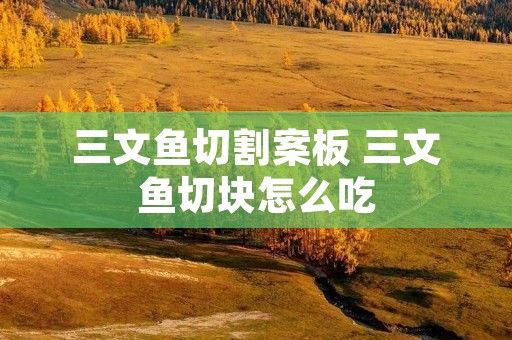 三文鱼切割案板 三文鱼切块怎么吃