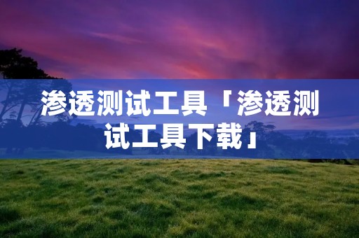 渗透测试工具「渗透测试工具下载」 渗透测试工具「渗透测试工具下载」