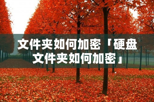 文件夹如何加密「硬盘文件夹如何加密」
