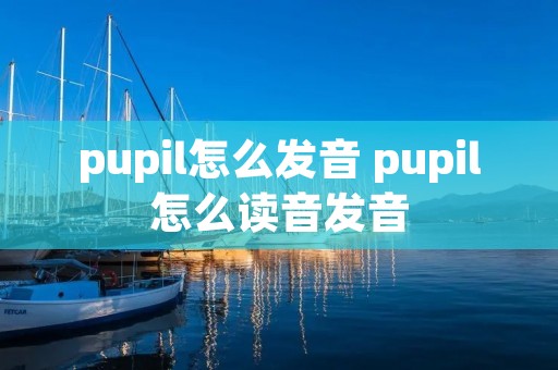 pupil怎么发音 pupil怎么读音发音