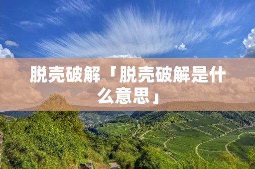 脱壳破解「脱壳破解是什么意思」