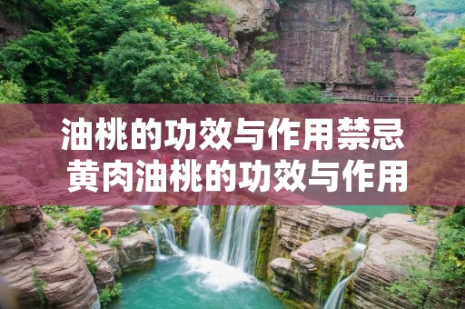 油桃的功效与作用禁忌 黄肉油桃的功效与作用禁忌