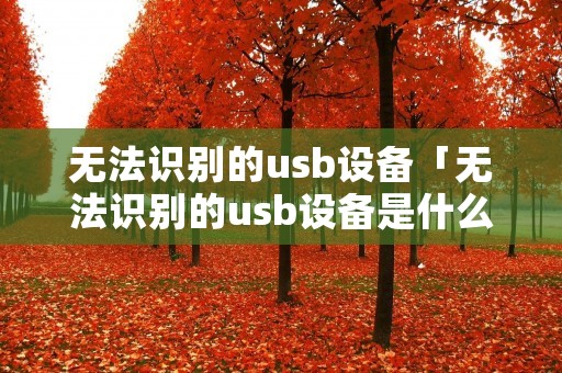 无法识别的u**设备「无法识别的u**设备是什么意思」