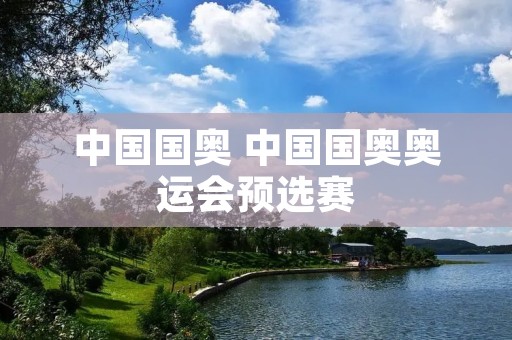 中国国奥 中国国奥奥运会预选赛