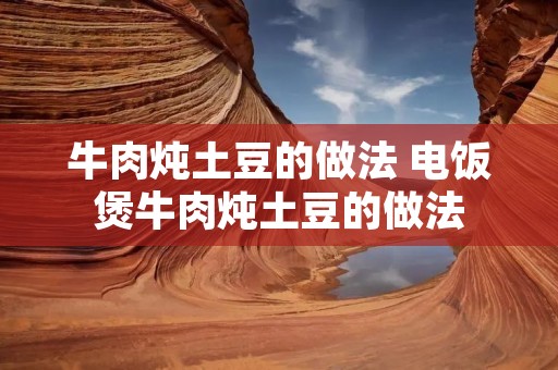 牛肉炖土豆的做法 电饭煲牛肉炖土豆的做法