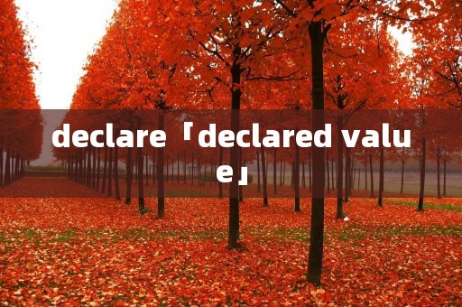 declare「declared value」