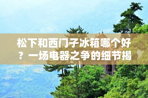 松下和西门子冰箱哪个好?一场电器之争的细节揭秘 松下和西门子冰箱哪个好?一场电器之争的细节揭秘