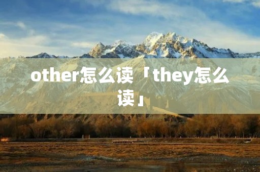 other怎么读「they怎么读」