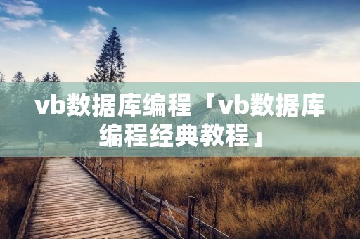 vb数据库编程「vb数据库编程经典教程」