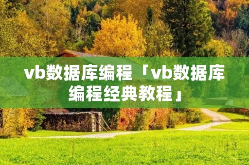 vb数据库编程「vb数据库编程经典教程」